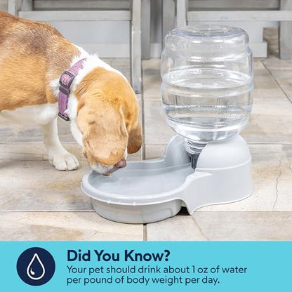 Petmate Aspen Pet Lebistro Water Dispenser for Cats and Dogs, 1 Gal Size
