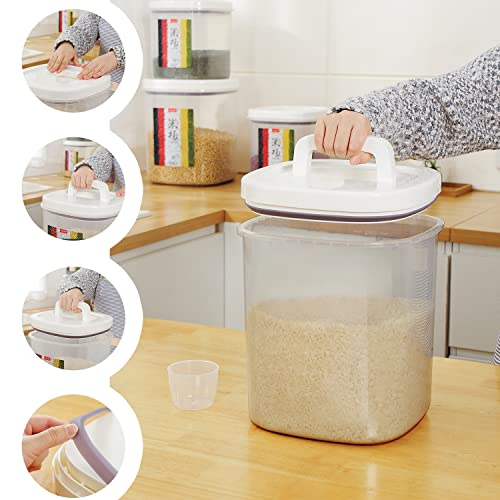 10 Lbs Rice Container Storage with Measuring Cup - color: LG-5KG