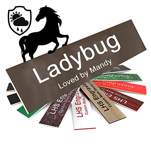 Personalized Horse Stall Name Plates, 2x6 Horse Stall Signs with Adhesive, All Weather UV Protected, Brown Plastic White Letters - Made in USA - B25 - color: B25 - Brown/White, size: 2in x 6in (5.1cm x 15.2cm)