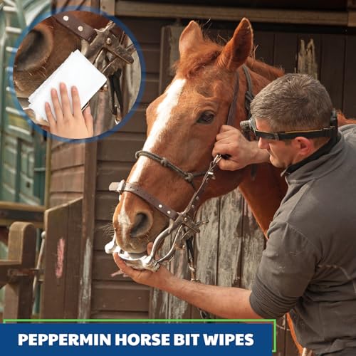 Threlaco 3 Pack Horse Bit Wipes 120 Pcs Peppermint Horse Bit Cleaners for Happy Horse Disposable Cleaning Wipes for English or Western Bits - style: Peppermint