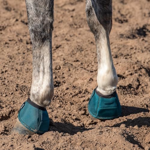 Classic Equine Dyno Turn Bell Boots - color: Dragonfly Green, size: Small