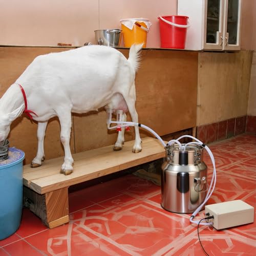 Cow Goat Milking Machine Electric Milker, Stainless Steel Bucket with Adjustable Pulsation Vacuum System, Portable Automatic Milking Machine for Small Farm and Home Dairy Ordeñadoras Lecheras (5L) - size: 5L