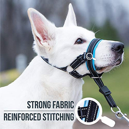 GoodBoy Dog Head Halter with Safety Strap - Stops Heavy Pulling On The Leash - Padded Headcollar for Small Medium and Large Dog Sizes - Head Collar Training Guide Included (Size 2, Blue) - color: Black Nylon / Blue Padding, size: Size 2 (Pack of 1)