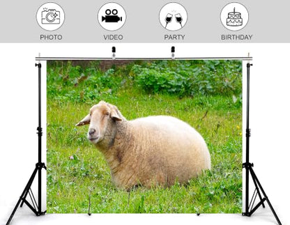 5x3ft Fabric Resting Wool Sheep Backdrop Lush Green Wildflower Meadow Soft Natural Light Farm Animal Photography Background Tapestry Country Farm Decorations Photo Booth Props - size: 5x3ft