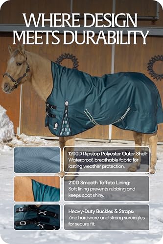 Equinavia Arktis Waterproof Winter Turnout Blanket, 100g Extended Neck - color: Deep Green, size: 69 in