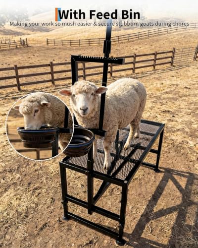 Heavy Duty 400LBS Goat Stand with Feed Bin, 35 Inch Goat Milking Stand Adjustable Headpiece & Legs, Livestock Table for Grooming, Shearing, Physical Examination, Black | Adjustable 35-Inch Platform, Headpiece & Legs, Stanchion for Grooming, Shearing, and