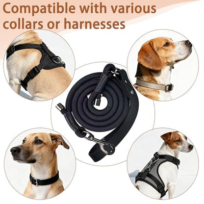 FOVRLZSE 5FT Heavy Duty Dog Leash, Large Medium Dogs, Black - color: BLACK