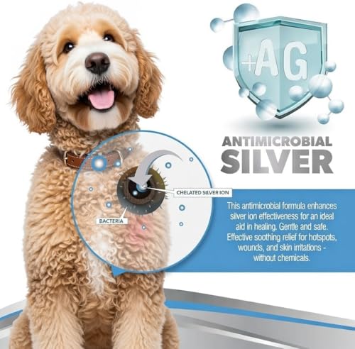 PetSilver Wound Spray, Antibacterial, Healing Aid, USA Made, 4 fl oz - size: 4 oz