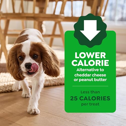 Greenies Pill Pockets Large Size Dog Treats, Hickory Smoke, 15.8 oz | Capsule size, hickory smoke flavor, masks medicine odor, low calorie, stress-free, Dog Treat Pouch for Capsule Medication - size: 60 Count (Pack of 1)