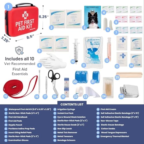 Rubyloo Pet Travel Bundle – Original Doggy Bag (Charcoal) + Vet-Approved Pet First Aid Kit for Dogs & Cats