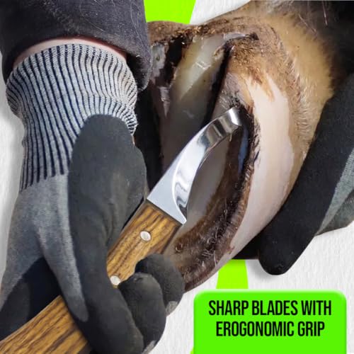 Farrier Loop Knives Set & Farrier Hoof Knives Set – Professional Horse Hoof Trimming Tools, Sharp Steel Blades, Comfortable Wooden Handles, Farrier Hoof Care Kit for Horses