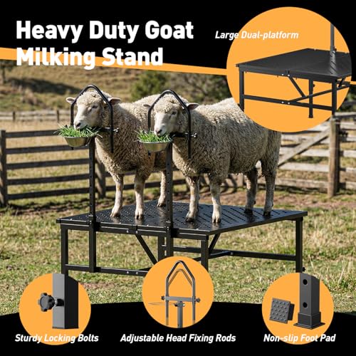 Goat Milking Stand,1000LBS Metal Goat Stand with Feed Bin,Headpiece, Livestock Trimming Stand with Adjustable Height 15.7" to 25.6", Dual-Table Design Sheep Stand for Goats and Lambs, Black