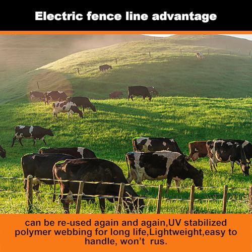 Electric Fence Polywire, 3366Ft/1026M, 1/8" Dia, Portable Wire - size: 3366Ft/1026M