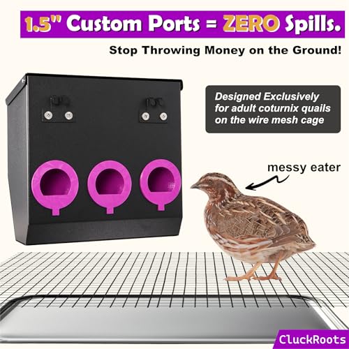 CluckRoots No Waste Quail Feeder, 3 x 1.5'' Ports for Adult Coturnix Quail - size: 8 Inch
