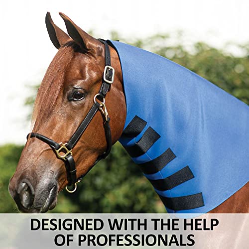 Dura-Tech Superior Neck Sweat for Horses | Horse's Sculpting Aid | Designed by Professionals | Stretchy Neoprene Adjustable Closure | Achieve Quick Results | Size Small - size: Small