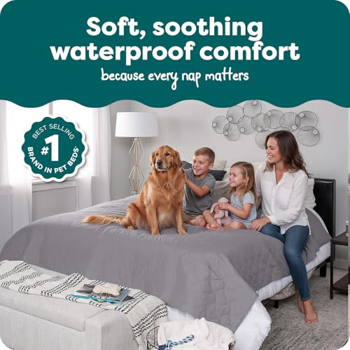 FurHaven Waterproof Blanket & Furniture Protector Cover with Non-Slip Backing, Machine Washable, Jumbo/King, Quilted Twill, Gray - color: Quilted Gray, size: 96" x 82" - King