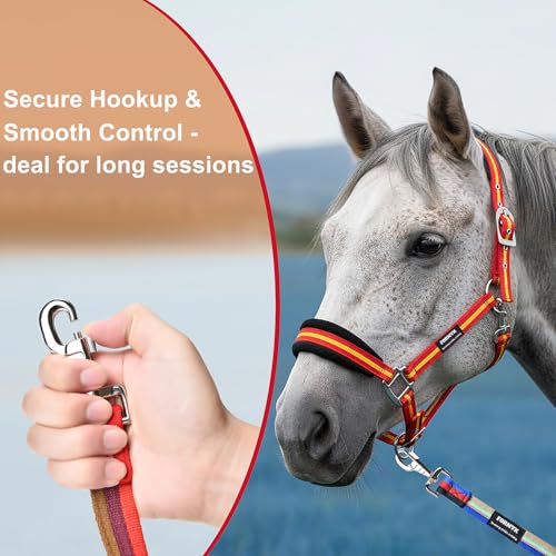 26ft/8m Horse Lunge Line & Long Dog Training Leash, 360° Swivel Snap - color: Gray-Green-Blue