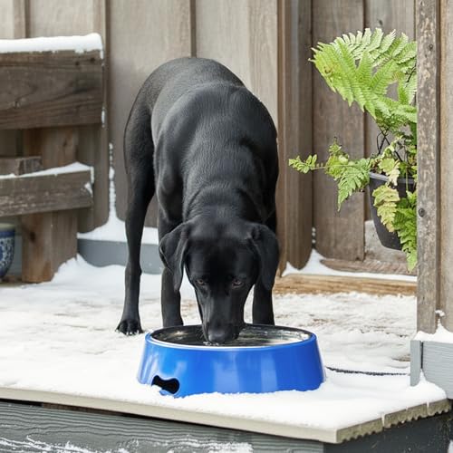 Farm Innovators Heated Pet Water Bowl, 40W Heated Water Dish - 3 Quart Stainless Steel Watering Station with Anti-Chew Cord Protector for Dogs & Cats | Thermostatically controlled to operate only when necessary, non-skid/non-tip rubber bottom, anti-chew c