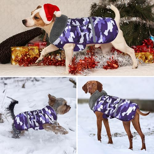 Dogcheer Warm Dog Coat, Waterproof Dog Jacket Christmas Puppy Winter Coat with Buckle, Reflective Adjustable Pet Snow Jacket Turtleneck Fleece Sweater for Small Medium Large Dogs - Camo Purple, S - color: Camo Purple, size: Small