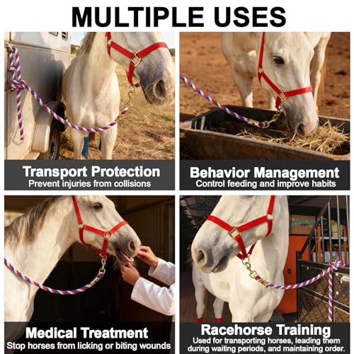 5/8" x 8' Nylon Horse Lead Rope (Red-Blue-White) - color: Red-Blue-White