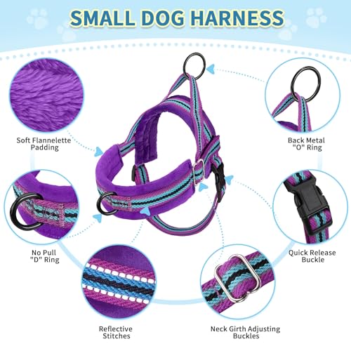 SlowTon No Pull Small Dog Harness and Leash Set with Front Clip | Soft Padded, Neck & Chest Adjustable, Lightweight, Anti-Twist, Puppy Vest Harness Pet Lead Combo for Small Medium Dog, PU XS - color: Purple, size: X-Small