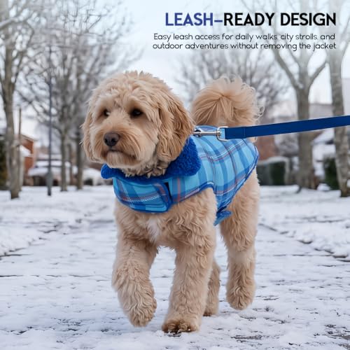ASENKU Dog Winter Coat, Reversible Dog Jacket for Small Medium Large Dogs - color: Royal Blue, size: X-Small