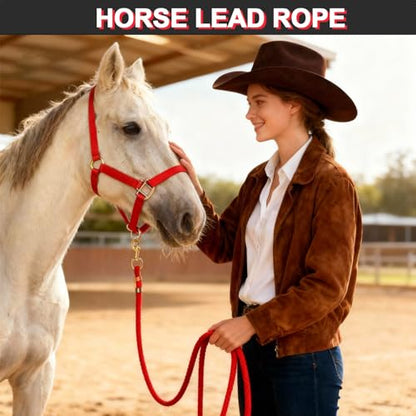 5/8" x 8' Nylon Horse Lead Rope with Cast Iron Hardware(Red) - color: Red