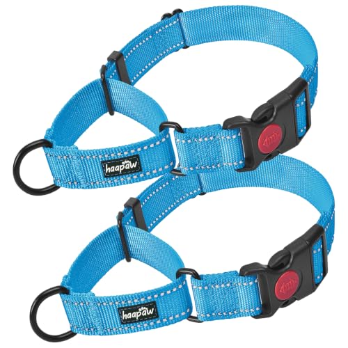haapaw Martingale Dog Collar with Quick Release Buckle Reflective Dog Training Collars for Small Medium Large Dogs (Blue, Large) - color: Blue, size: Large