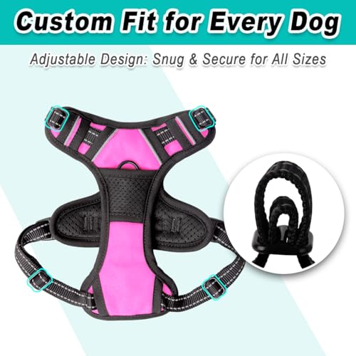 BARKBAY Dog Harness for Small Sized Dog No Pull 2 Leash Clips Dog Vest - color: Pink, size: X-Small