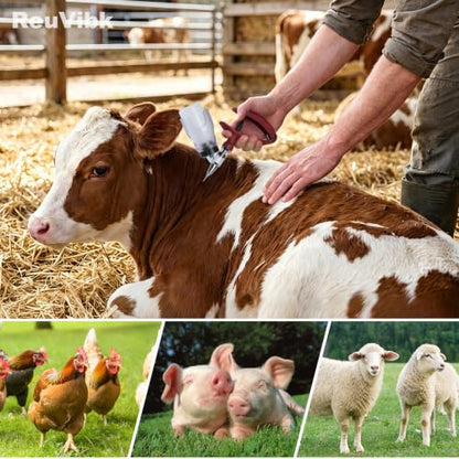 5ml Continuous Self-Refilling Livestock Syringe, 10 Needles Included - color: Rose Red