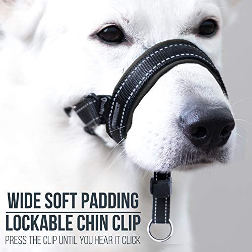 GoodBoy Dog Head Halter with Safety Strap - Stops Heavy Pulling On The Leash - Padded Headcollar for Small Medium and Large Dog Sizes - Head Collar Training Guide Included (Size 2, Black) - color: Black Nylon / Black Padding, size: Size 2 (Pack of 1)