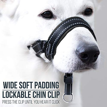 GoodBoy Dog Head Halter with Safety Strap - Stops Heavy Pulling On The Leash - Padded Headcollar for Small Medium and Large Dog Sizes - Head Collar Training Guide Included (Size 2, Black) - color: Black Nylon / Black Padding, size: Size 2 (Pack of 1)