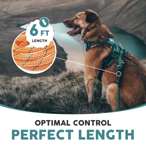 Embark Dog Leash - Heavy Duty Tough Nylon Training Lead for All Dog Breeds | Mountain Climbing Rope with Heavy Duty Locking Carabiner - Strong & Durable Nylon Pet Leash - 6 FT - Orange - color: Orange