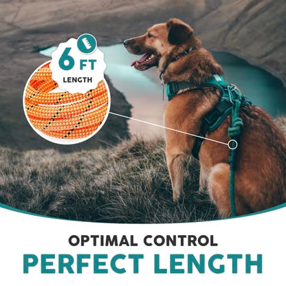 Embark Dog Leash - Heavy Duty Tough Nylon Training Lead for All Dog Breeds | Mountain Climbing Rope with Heavy Duty Locking Carabiner - Strong & Durable Nylon Pet Leash - 6 FT - Orange - color: Orange