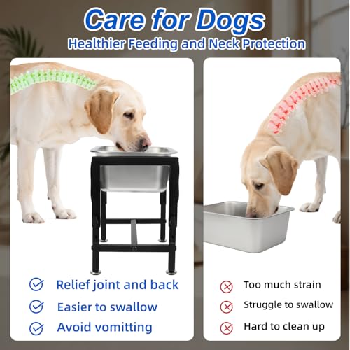 YUEPET Elevated Water Bowl for Dogs, Outdoor Raised Dog Water Bowl 1.25 Gal | 4 Heights Adjustable, Stainless Steel Dog Water Bowls, Raised Dog Water Bowl with Stand, 1.25 Gallon ,Food and Water Use - size: 1.25 Gallon