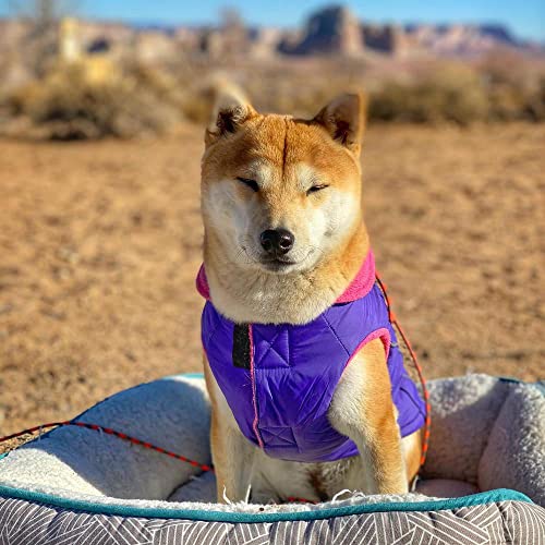 Gooby Sports Vest Dog Jacket, Purple, Medium - color: Purple, size: Medium chest (~16.5")