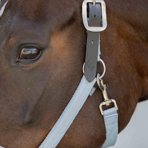 Equinavia Loki Adjustable Breakaway Horse Halter - Sweet Blue - Cob - color: Sweet Blue, size: Cob