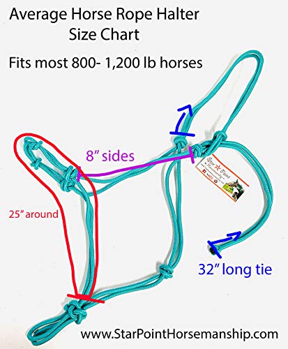 Average Horse 4 Knot Rope Halter & 8' Lead Set (Teal)