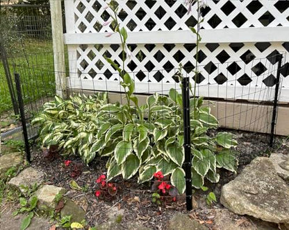3 Feet Metal Fence Post Black, Pack of 15, for 24 Inch High Garden Welded Wire Fence U-Channel Steel Garden Post - color: Black, size: 3',15 PCS