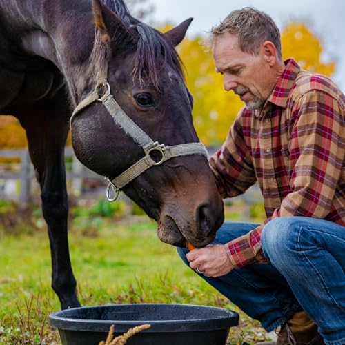 Red Barn 2 Gallon Rubber Feed Pan – Heavy Duty Flexible Livestock Feed Bowl for Goats, Chickens & Dogs – Durable Crack & Freeze Resistant Rubber Tub - size: 2 Gallon
