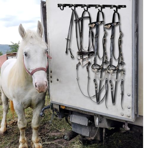 Zonon Horse Tack Bridle Hooks Metal Horse Bridle Rack Stall Hanger for Tack Harness Storage Stall Fence Barn Supplies(2 Pcs,Five Hooks) - style: Five Hooks