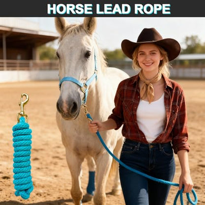 5/8" x 8' Nylon Horse Lead Rope with Cast Iron Hardware(Lake Blue) - color: Lake Blue