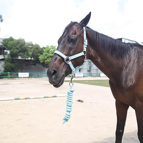 Adjustable Horse Halters - Heavy Duty Nylon Webbing & Hardware, Padded with Anti Chafing Foam-Cushioned on Crown & Nose - color: Light Blue, size: Cob