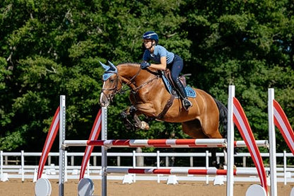 LeMieux Loire Close Contact Saddle Pad - Saddle Pads for Horses - Equestrian Riding Equipment and Accessories - color: Ice Blue