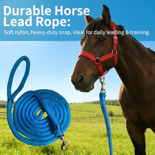 Double Braided Nylon Horse Lead Rope with Snap Hook, Black, 10 FT, Durable Light Weight (Blue, 10FT) - color: Blue, size: 10FT