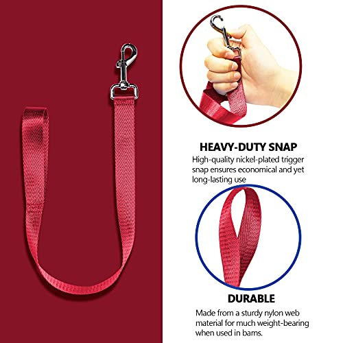Harrison Howard 4PCS 22” Easily Packed Sturdy Nylon Bucket Straps for Hay Nets and Water Feeder Buckets-Red - color: 4PCS Red