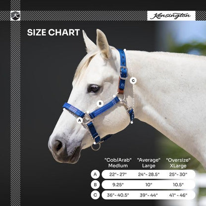 Kensington Premium Breakaway Halter with Padded Nose — Added Breakaway Safety Measures — Snap at Throat for Identical Fit Each Time - color: 2021 - Atlantis, size: Large