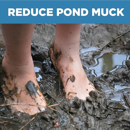 Jenlis Muck Razer Aquatic Weed & Sludge Tiller for Pond & Lake Shorelines | Heavy-duty tool reduces silt, scum, and mud, cleans sand beaches, creates clear lakefronts, and assembles easily