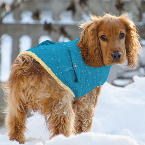 Queenmore Waterproof Dog Winter Coat Warm Puffer Jacket Plush Lining Vest - color: Blue, size: X-Small