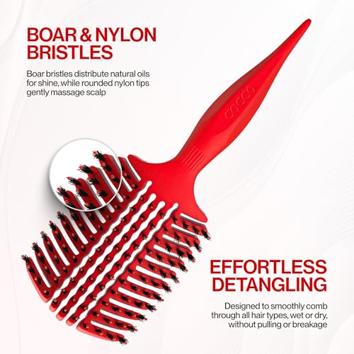COCCO Aura Vent Boar Brush, Dual-Curved Design for Faster Drying - color: Red
